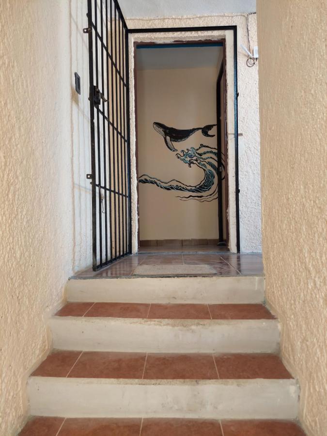 Venado 28 Hostel Cancun Bagian luar foto