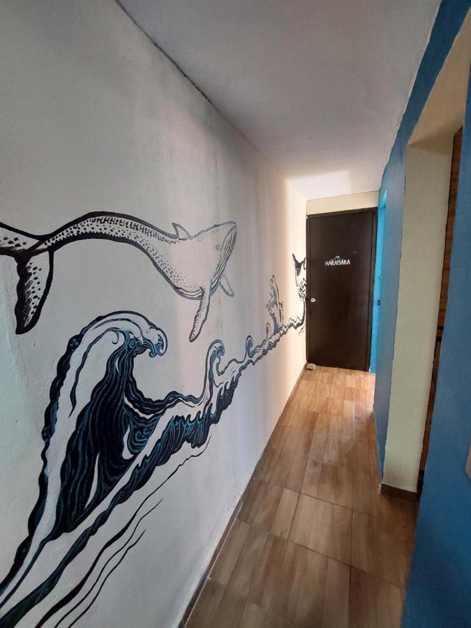 Venado 28 Hostel Cancun Bagian luar foto