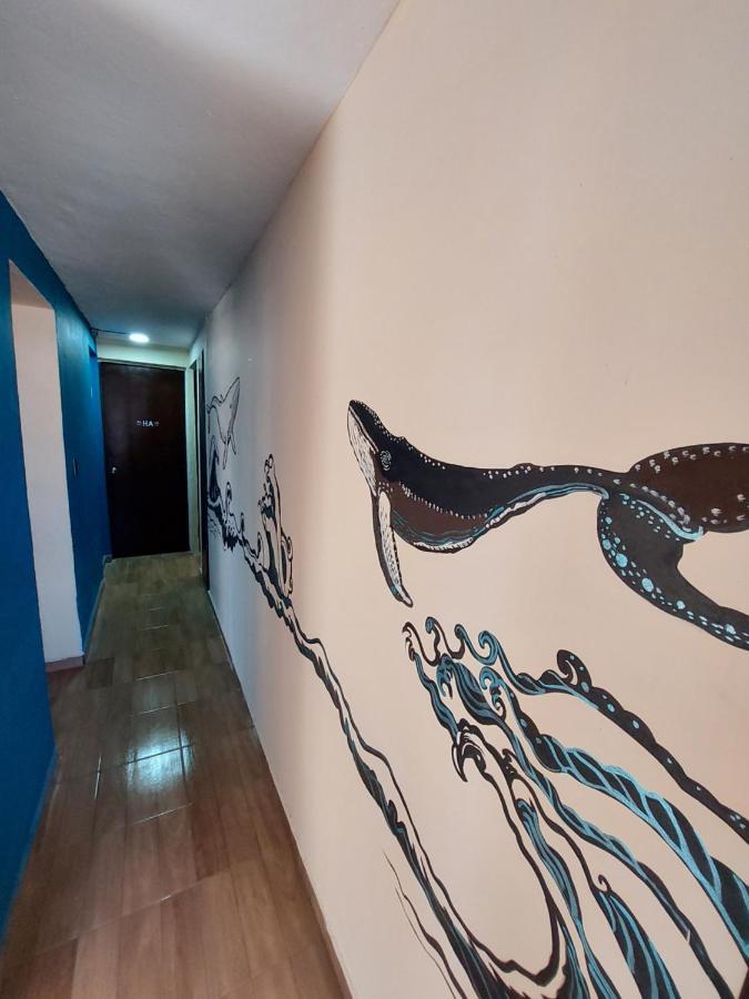 Venado 28 Hostel Cancun Bagian luar foto