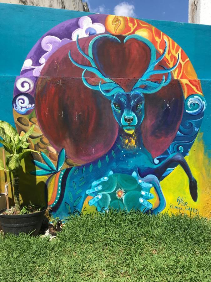 Venado 28 Hostel Cancun Bagian luar foto